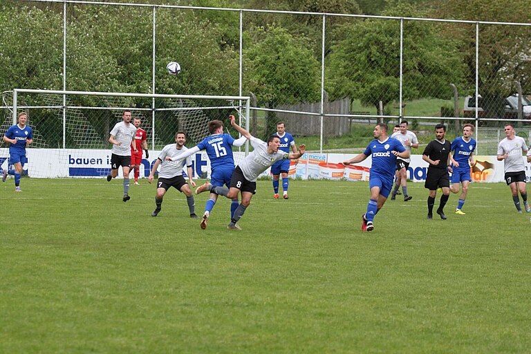 Waldstein5.5.24005.jpg 