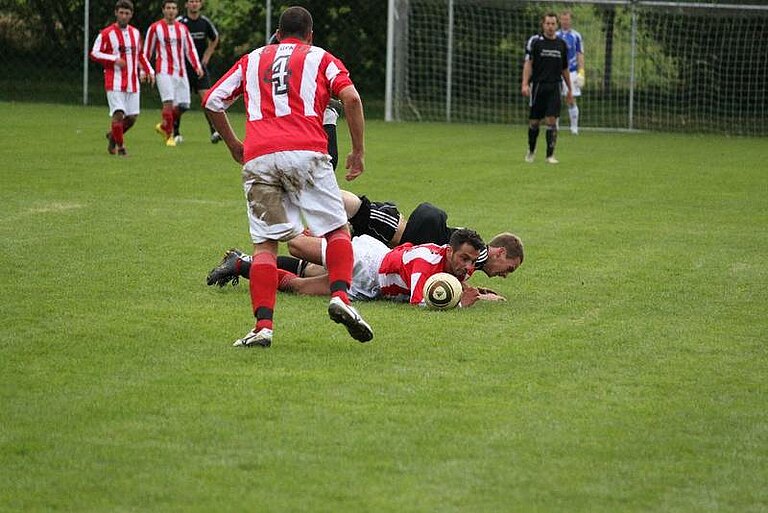 Bild__12_.jpg 
