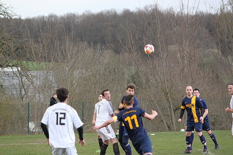 Kupferberg11_4_15__8_.JPG 